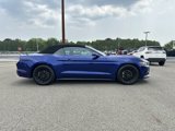 Used 2015 Ford Mustang Convertible image 4