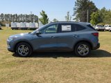 New 2025 Ford Escape ST-Line w/ Cold Weather Package image 6