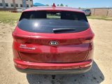 Used 2017 Kia Sportage LX image 4