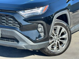 Certified 2022 Toyota RAV4 XLE Premium image 4