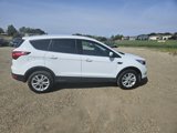 Used 2019 Ford Escape SE image 3