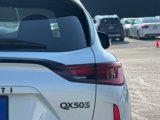 Certified 2024 INFINITI QX50 Sport image 5