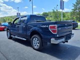 Used 2014 Ford F150 XLT w/ XLT Chrome Package image 4