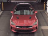 Used 2019 Kia Stinger w/ Sun & Sound Package image 2
