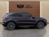 New 2025 Cadillac XT4 Sport w/ Cold Weather Package image 4