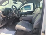 New 2024 Ford F150 XL image 3