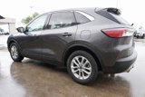 Used 2020 Ford Escape SE image 5