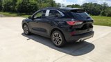 Used 2020 Ford Escape SEL image 5