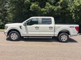 Used 2021 Ford F150 XLT image 2
