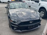 Used 2020 Ford Mustang Premium image 4