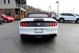 Used 2019 Ford Mustang Premium image 6
