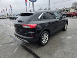 Used 2022 Ford Escape SE image 3