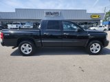 Used 2009 Dodge Dakota Big Horn image 2