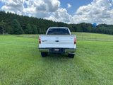 Used 2013 Ford F150 King Ranch w/ King Ranch Luxury Pkg image 6