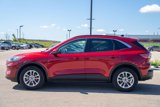 Used 2020 Ford Escape SE image 4