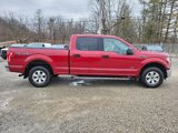 Used 2015 Ford F150 XLT image 4