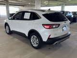 Used 2022 Ford Escape SE image 6