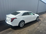 New 2025 Cadillac CT4 Premium Luxury image 2