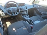 Used 2016 Ford Focus SE w/ SE Cold Weather Package image 3