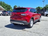 Used 2020 Ford Escape SE image 5