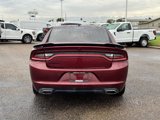 Used 2022 Dodge Charger SXT w/ Blacktop Package image 4