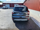 Used 2017 Ford Escape SE w/ Equipment Group 201A image 4