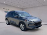 Certified 2020 Ford Escape SE image 3