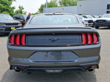 Used 2019 Ford Mustang Coupe w/ Black Accent Package image 5
