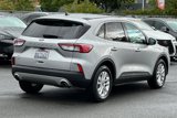 Used 2020 Ford Escape SE image 4