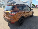 Used 2017 Ford Escape SE w/ SE Sport Appearance Package image 5