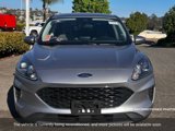 Used 2021 Ford Escape SE image 3