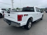Used 2017 Ford F150 XLT w/ Equipment Group 302A Luxury image 5