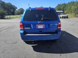 Used 2011 Ford Escape XLT w/ 202A Rapid Spec Order Code image 5