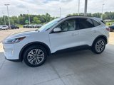 Used 2022 Ford Escape SEL image 4