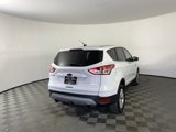 Used 2014 Ford Escape SE image 3