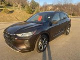 Used 2023 Ford Escape ST-Line w/ Equipment Group 301A image 2