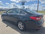 Used 2017 Hyundai Sonata SE w/ Cargo Package image 4
