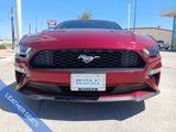 Used 2019 Ford Mustang Premium w/ Equipment Group 201A image 2