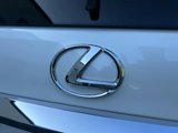 Used 2019 Lexus GX 460 Premium image 6