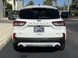 Used 2020 Ford Escape SE image 4