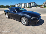 Used 2013 Ford Mustang Coupe image 4