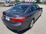 Used 2013 Honda Accord EX-L image 3