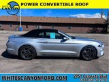 Used 2019 Ford Mustang Premium image 2