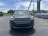 Used 2017 Ford Escape SE w/ Equipment Group 201A image 2