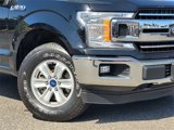 Used 2018 Ford F150 XLT w/ Equipment Group 301A Mid image 4