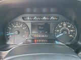 Used 2019 Ford F150 XL w/ Equipment Group 101A Mid image 3