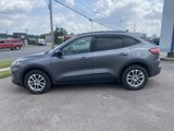 Used 2022 Ford Escape SEL w/ SEL Stealth AWD Package image 2
