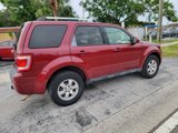Used 2009 Ford Escape Limited image 6