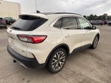 Used 2020 Ford Escape Titanium image 5
