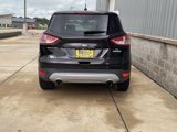 Used 2013 Ford Escape SE image 5
